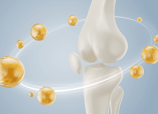 KEMİK SAĞLIĞINI ZİRVEYE TAŞIYAN HAREKETLER